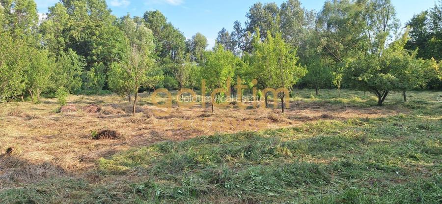 CASA IN ZONA LINISTITA/MOBILATA/UTILATA/TEREN IMPRESIONANT 5000MP/CORNU/PRAHOVA - 56