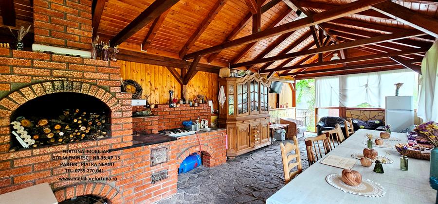 Casa P+M, foisor, anexa si 2500 mp teren, langa padure