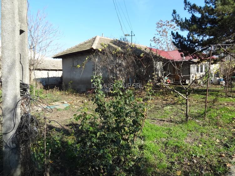 Teren cu casa, 3600mp, 4 camere de vanzare in Nicolae Balcescu - 8