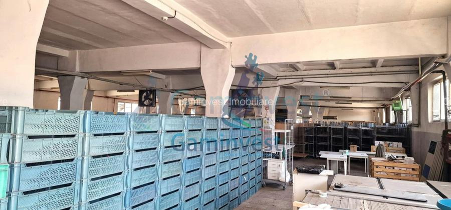 Hala de vanzare Productie Depozitare Calea Clujului Oradea - 4