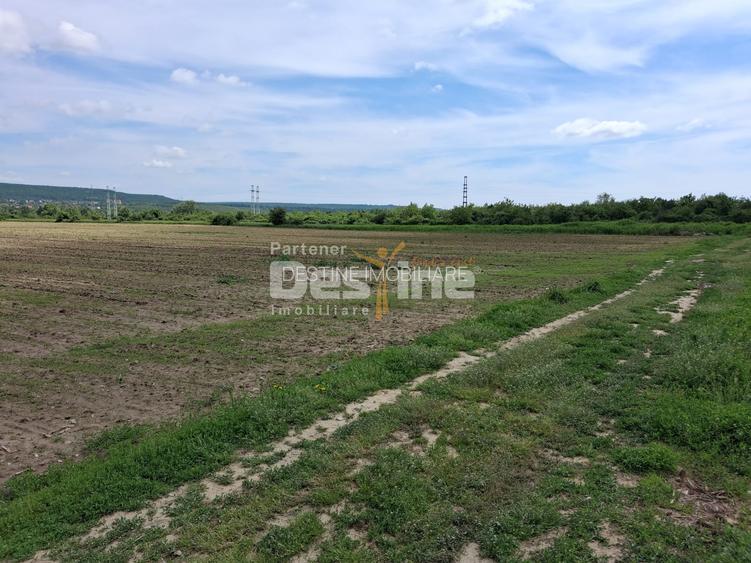 Teren Extravilan de Vânzare – Mărăcineni, Sat Argeșelu - 7