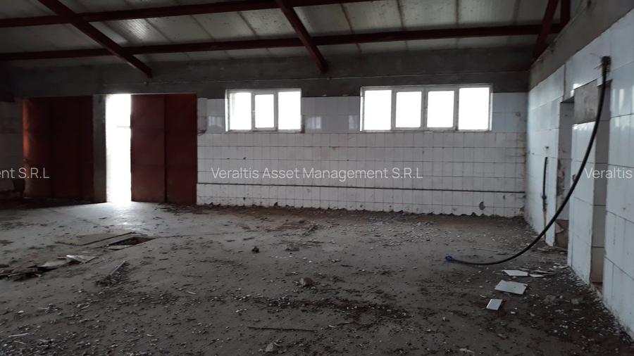 de vanzare Ferma Vaci - 8