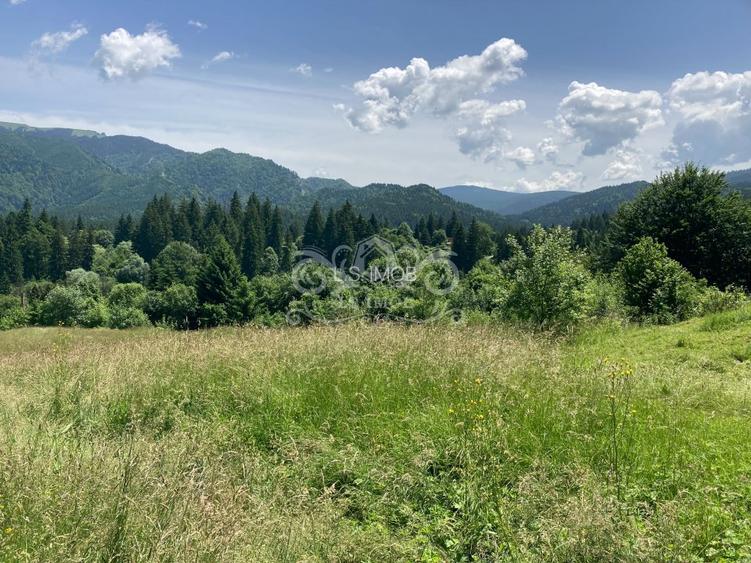 Vand teren intravilan Predeal, Timisul de Sus ideal obiective turistice - 2