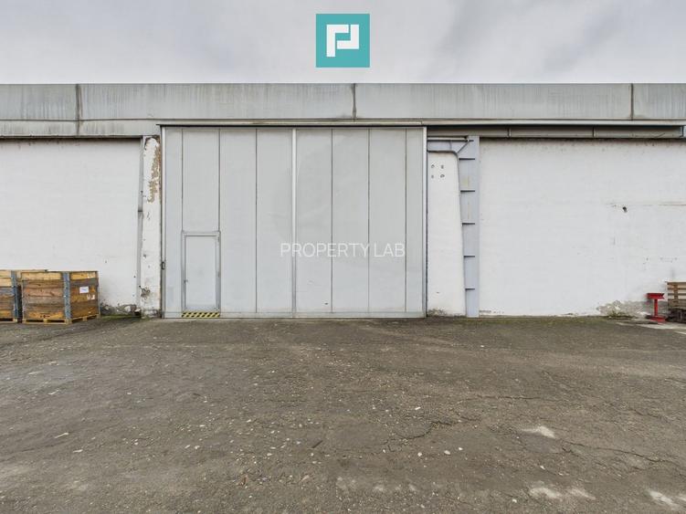 Hală cu teren intravilan de 3500 mp, în Sebiș Arad - 29