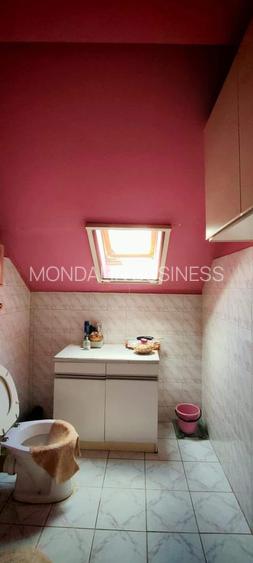 Casă cu 5 camere, singur în curte, acces auto , lângă Magazinul Crișul , Oradea. - 11