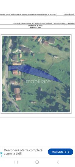 Teren Moieciu de Jos-Cheile Gradistei - 2