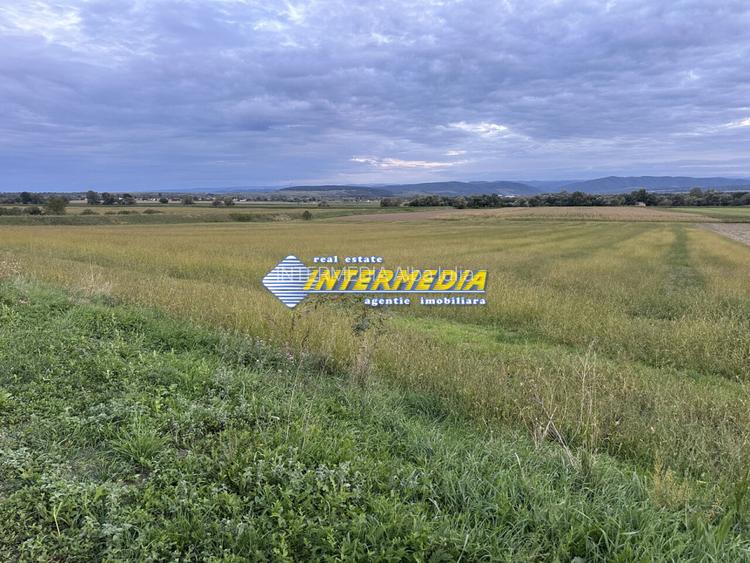 OKAZIE ! 2300 mp. Teren Intravilan Mereteu lat 22 m toate utilitatiile in fata - 7