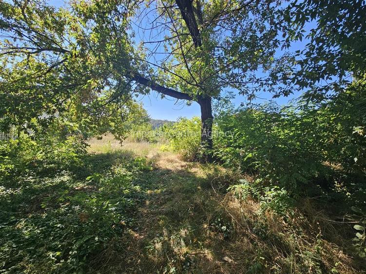 TEREN INTRAVILAN DE VANZARE ONESTI - 6