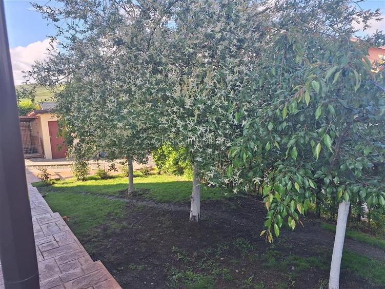 Vanzare casa individuala cu gradina matura Campenesti Apahida, Cluj-Napoca - 10