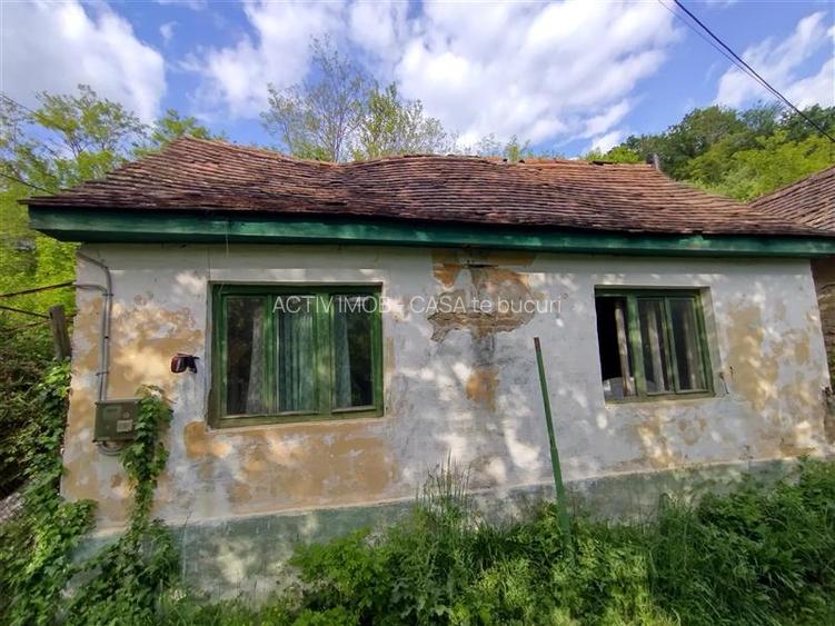 Sasca Montana | Oportunitate | Casa cu 230 MP Teren - 9