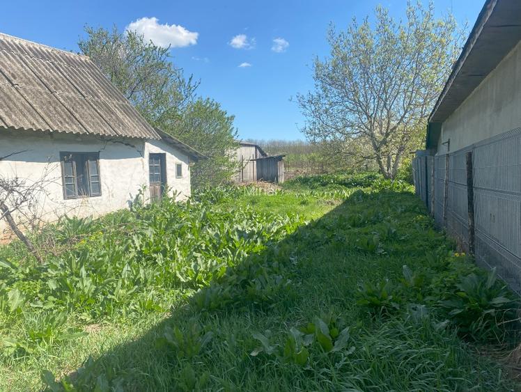 De vanzare teren Ciolpani intravilan / schimb cu apartament in Bucuresti - 4