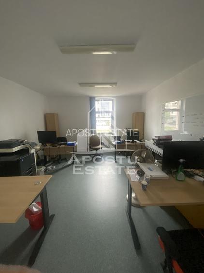 Casa în Dumbrăvița cu teren de 3039 mp și Front Stradal de 40 ml - 3