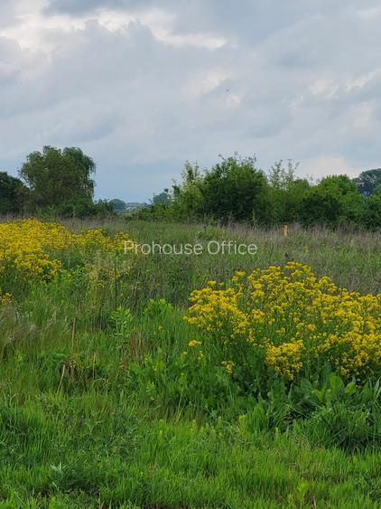 VANZARE TEREN INTRAVILAN CU ACCES LAC - SNAGOV SE VINDE LOTIZAT SAU INTEGRAL - 4