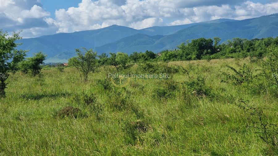 Teren de vânzare în Calea Cisnădiei, Sibiu – 550 mp, PUZ aprobat, vedere superbă - 8
