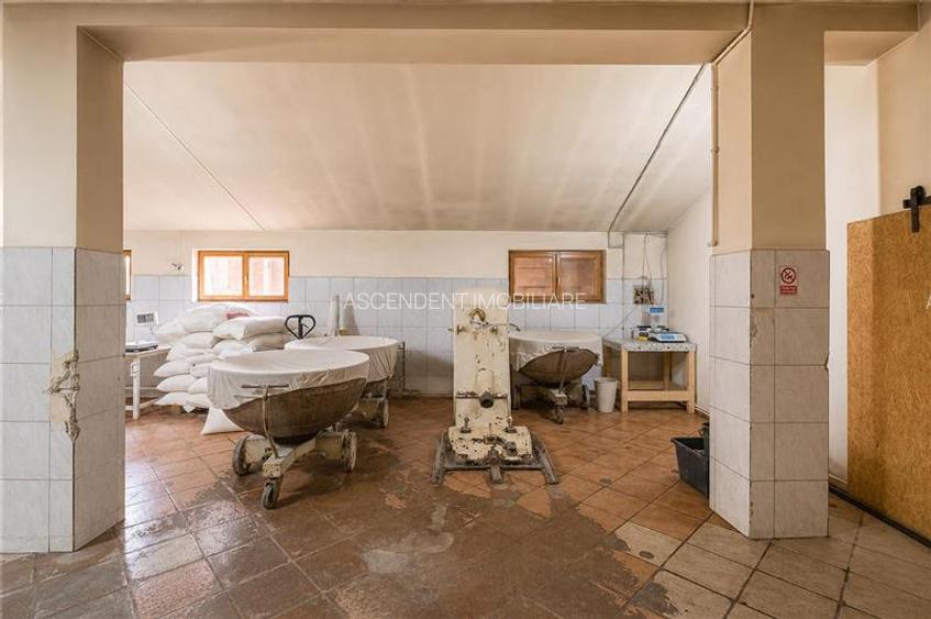 Spatiu comercial+afacere functionala: brutarie,rute de distributie,Ghelinta - 11