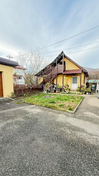 🏡 PROPRIETATE DE EXCEPȚIE – ZONĂ ULTRACENTRALĂ, BAIA MARE - 13