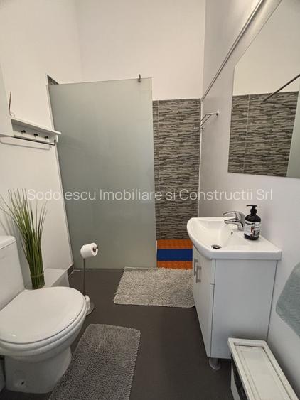 Apartament cu o camera în clădire istorică ,zona Maria - 7