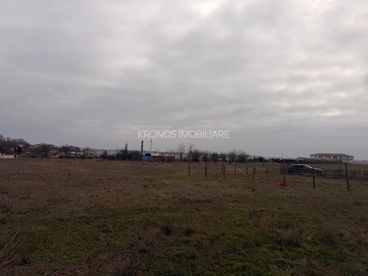 TECHIRGHIOL-POPAS SINCAI TEREN INTRAVILAN 390 MP. APROAPE DE LAC, PRET 24.900 EU - 4