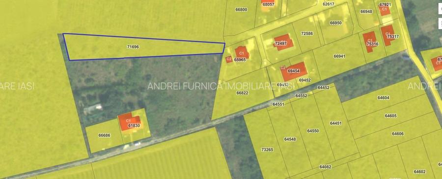 Visan str Valea viilor TEREN 1616mp intravilan lot pt constructie casa - 3