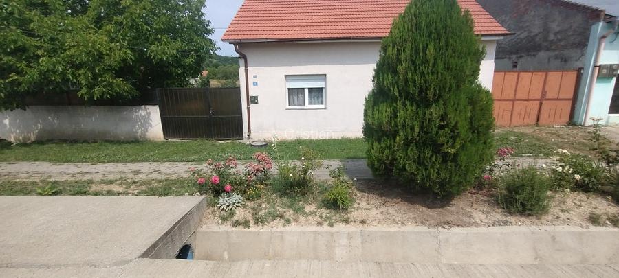 Cavanzare Copacele cu teren 1530 m și o livada - 5