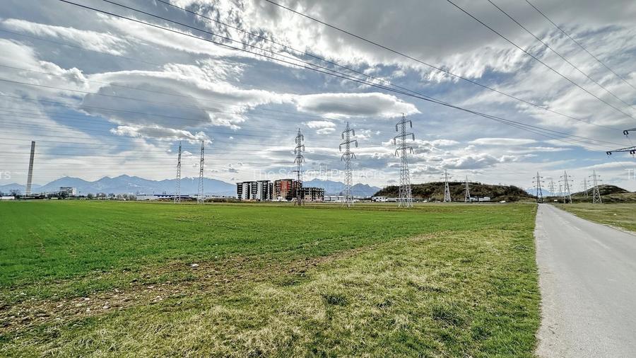 Teren Intravilan Zona Rezidentiala - 5