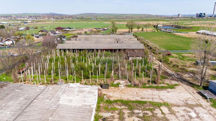 Teren Industrial 3Ha și Hală 1000mp de Vânzare în Tomesti - IAȘI - 10