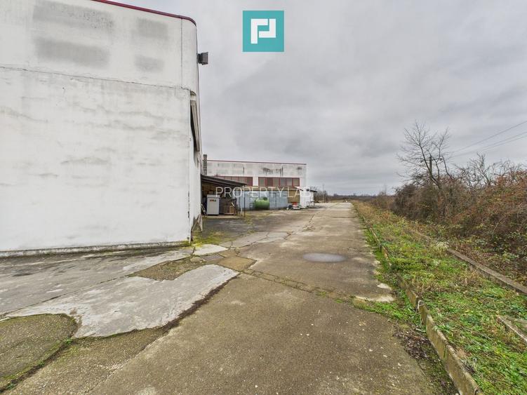 Hală de producție, cu birouri și teren, în Sebiș - 51