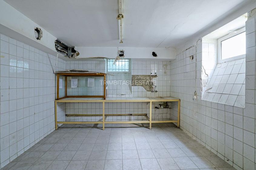 PIATA ROMANA - Calea Dorobanti | Vila - Spatiu Comercial - 28