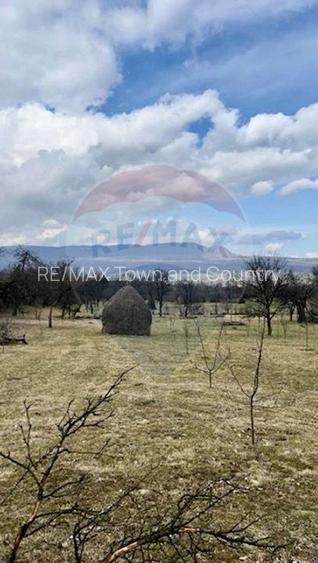 Teren 6,900mp Breb / Strada PRINCIPALA - 8