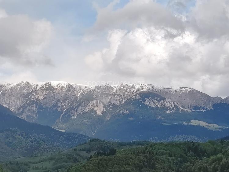 Oportunitate rara! Teren 7.283 mp, investitie garantata - 14