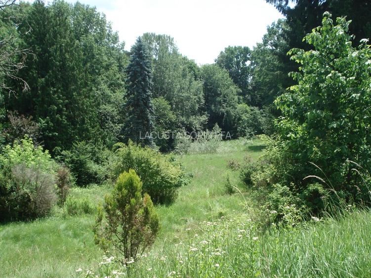 Conac istoric clasa B, 13 ha teren, valoare istorica - 9