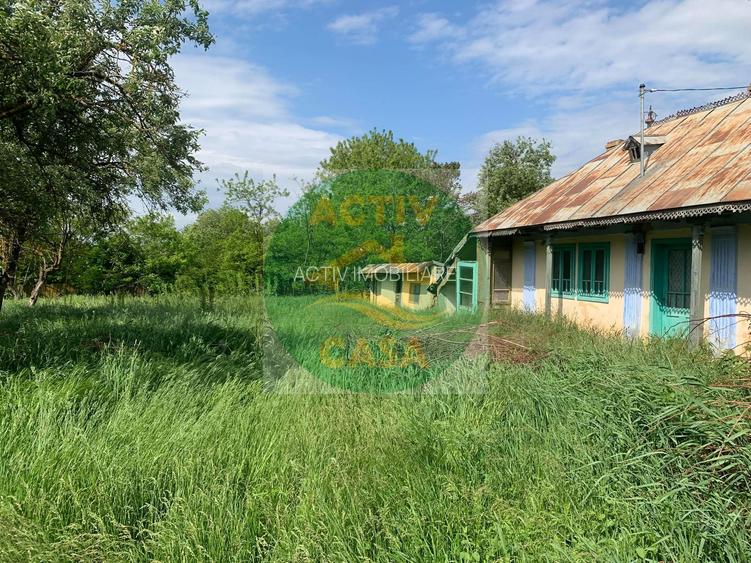 Teren si casa batraneasca de vanzare, zona Trifesti - 2