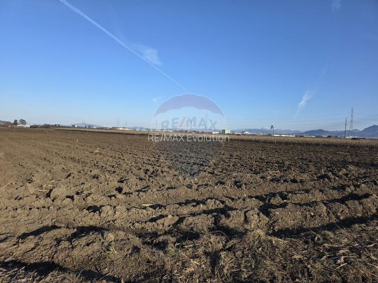 Teren intravilan, 5000 mp, Stupini, str Pomiculturii - 12