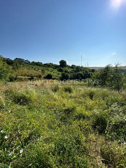 Teren de vanzare in Feleac, Intravilan - 7