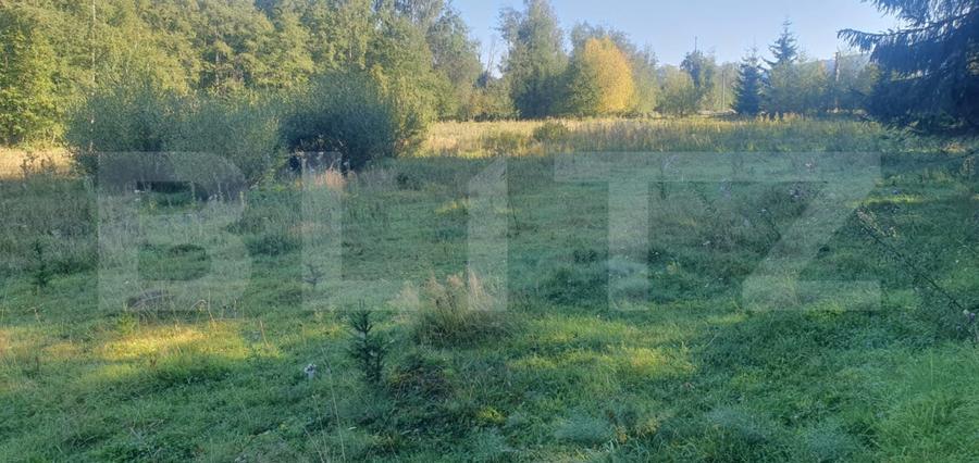Teren intravilan, 14.540 mp, zona Neagra Sarului - Vatra Dornei