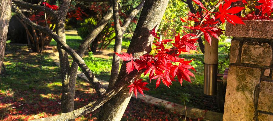 Proprietate Breaza Vila 1000mp , casa administrator , teren generos 3600mp - 6