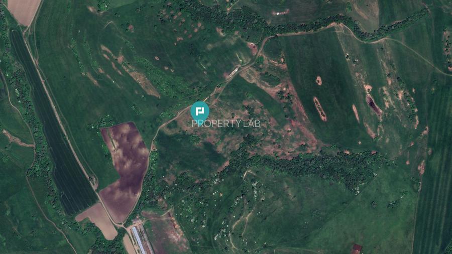 Teren de 195 Hectare Arabil în Cincu, Brașov - 2