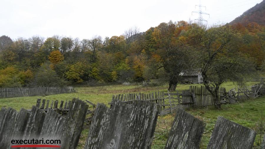 Teren - 5997 mp, Sat. Salistea