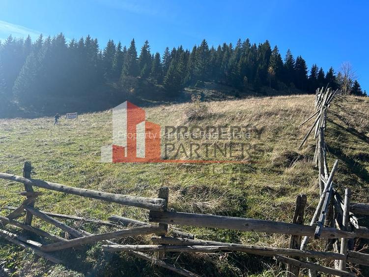 Teren Fundatica intravilan 4500 mp - 11