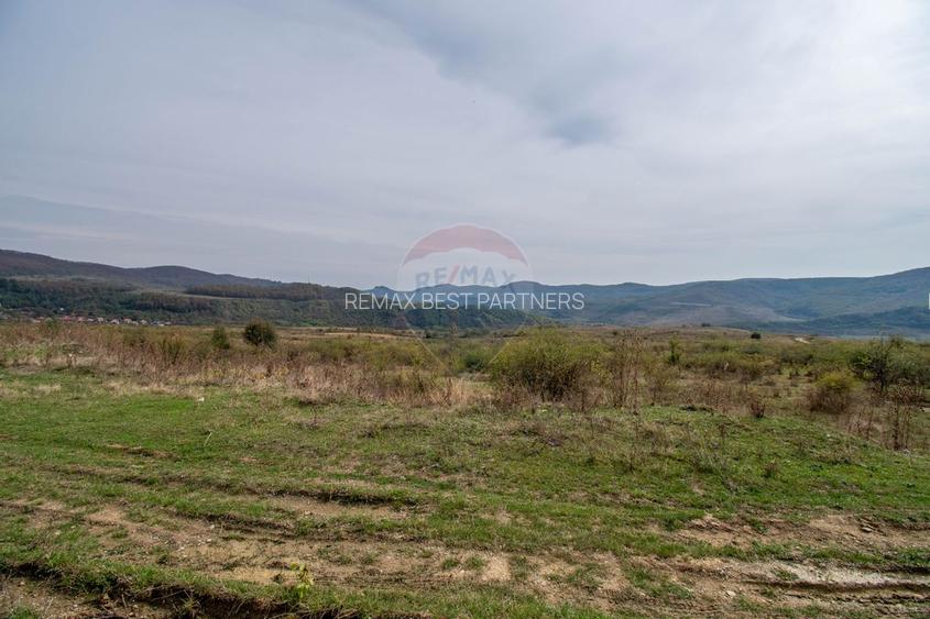 Ferma moderna de porci de vanzare in Curtuiusu Dejului - 20