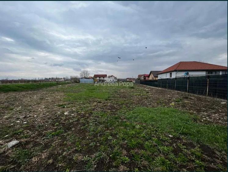 Vand 2 Terenuri  804 mp / 948 mp | PUZ aprobat Terezian | Utilități | Propietar - 2