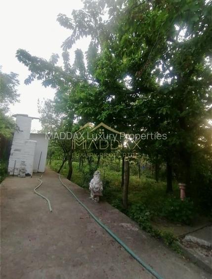 Vila 9 camere***gradina cu pomi fructiferi//1085 mp teren***Dragomiresti-Deal - 14