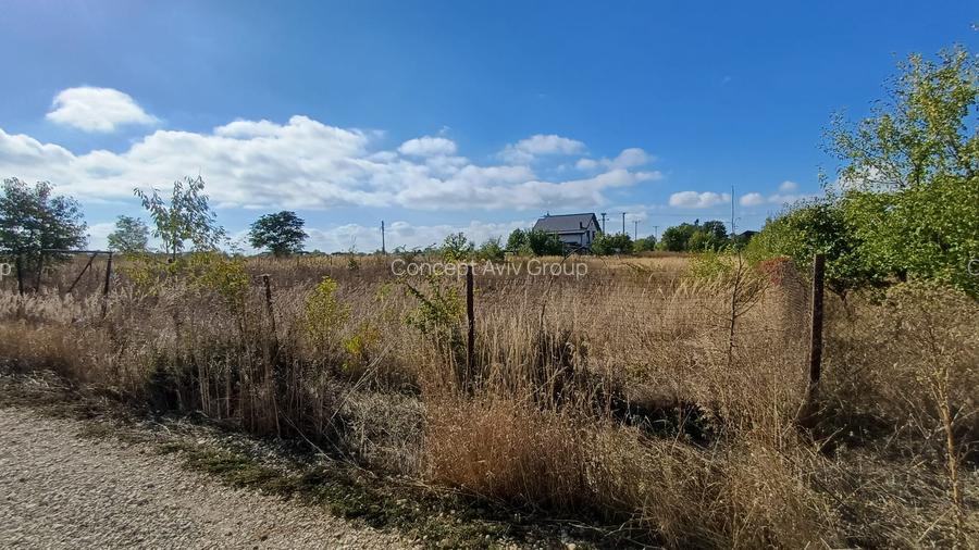 Teren Izvorani -Padure -COR - 8