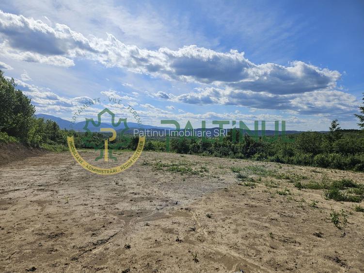 Teren 3.000 mp cu priveliște panoramică spre Munții Făgăraș - 8