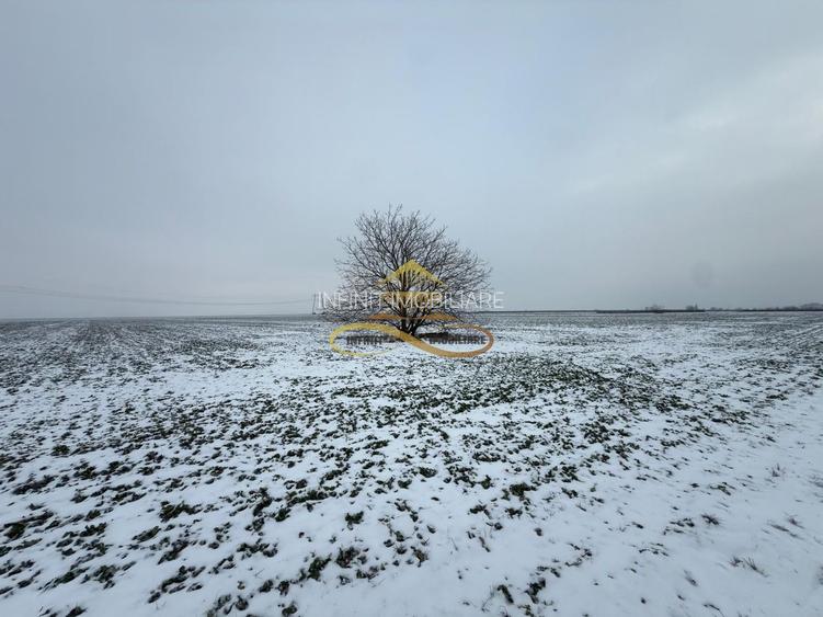 Teren agricol extravilan in Itesti de vanzare - 8