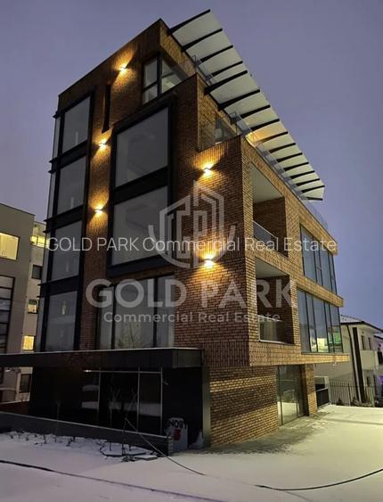 Spatiu de Birouri/Cladire de Birouri-Zona Europa-Garaj/Parcari/Curte - 13