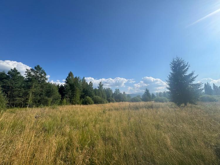   12700 mp investitie rezidentiala- turistica- medicala Tinovul Mic/Șaru Dornei  - 6