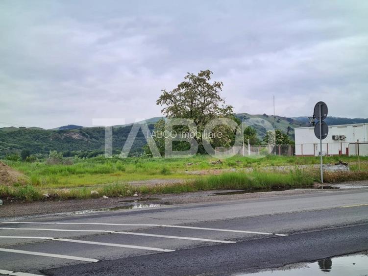 Teren intravilan 4100 mp de vanzare in Lancram - 2