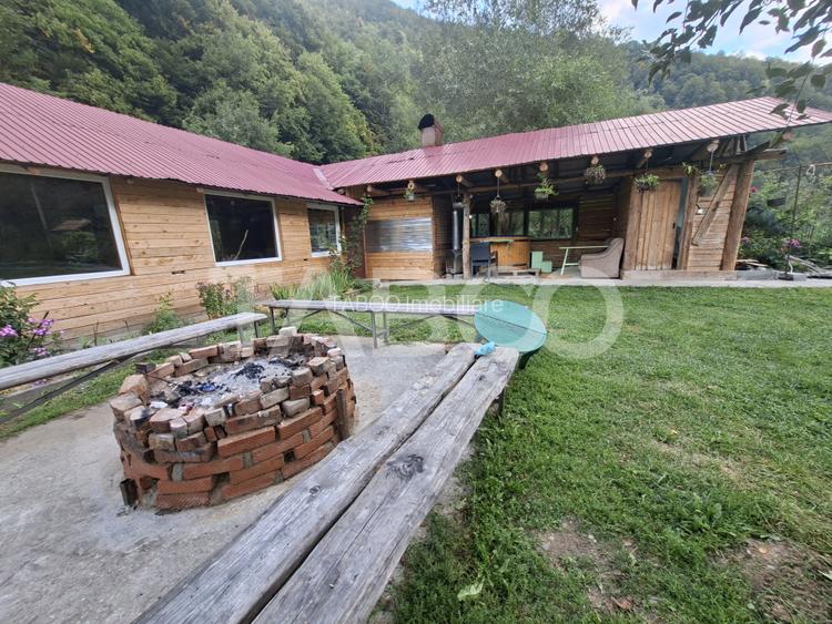 Spatiu de vanzare in Valea Macesului judel Valcea iesire la Lotru - 31