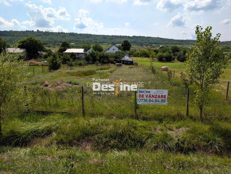 Ocazie - Casa individuala D+P+M 170 mp + 2400 mp teren cu IAZ la asfalt, Osoi - 2